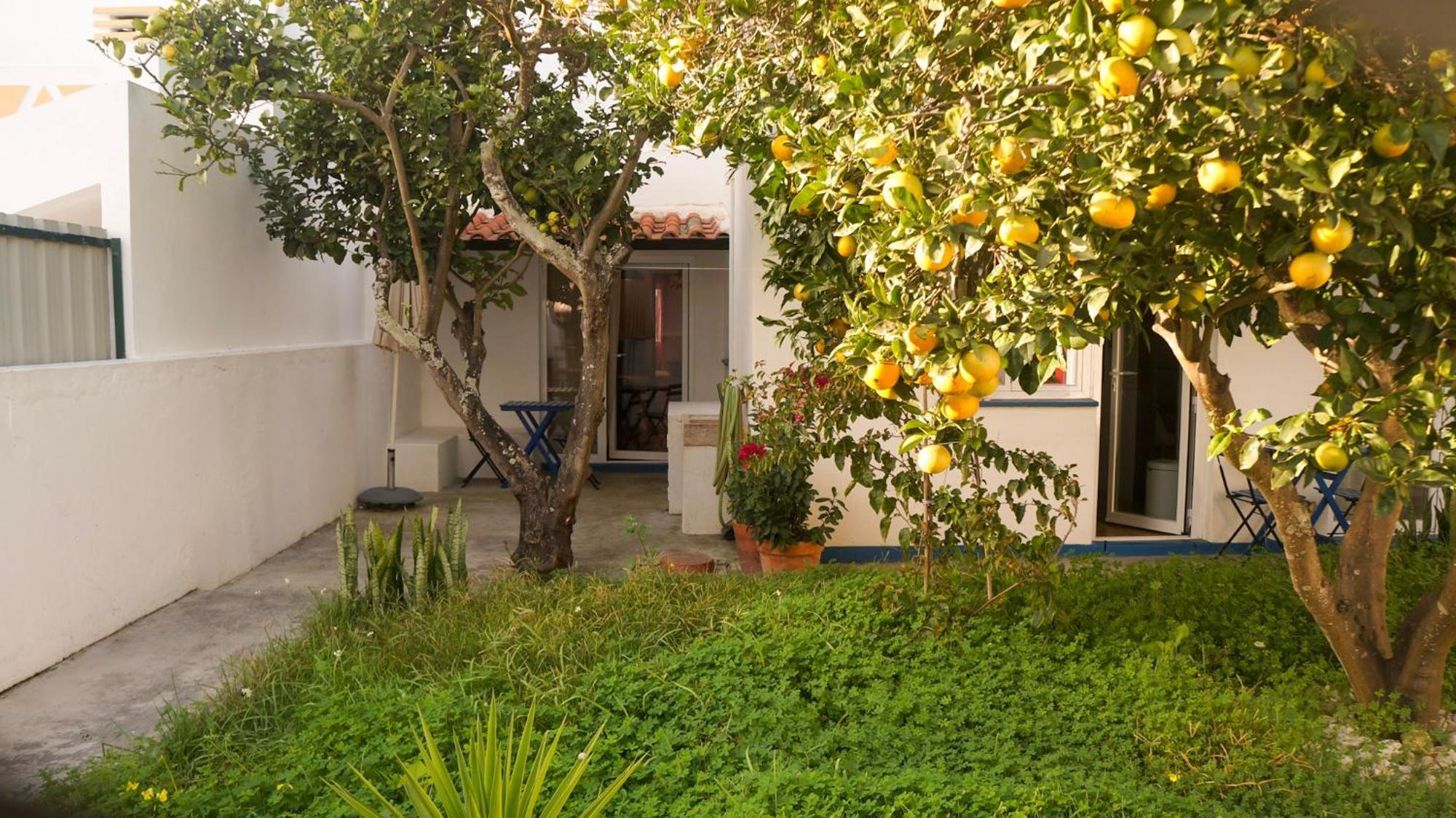 Lemon Tree House By Stay In Alentejo Vila Nova de Milfontes Eksteriør billede